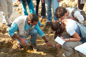 IMG02 1080x780_Geologia